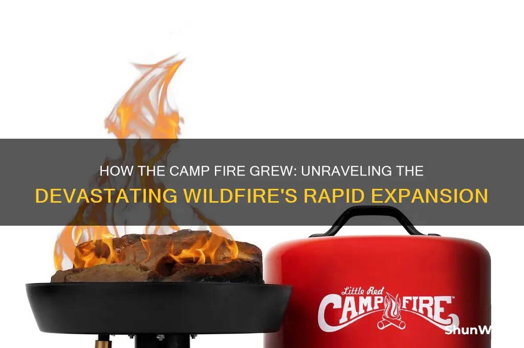 how did camp fire grow