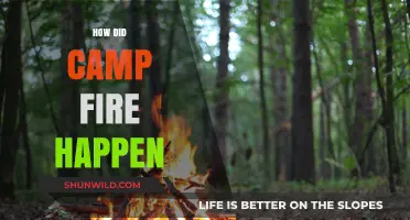 Unraveling the Devastating Camp Fire: Causes and Tragic Consequences Explained