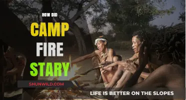 The Devastating Camp Fire: Unraveling the Origins of the Blaze