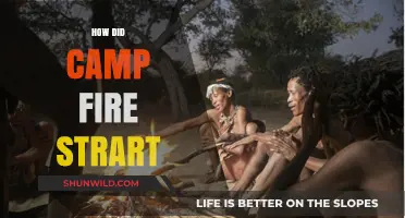 Unraveling the Devastating Origins of the Camp Fire Tragedy