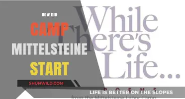 The Origins of Camp Mittelsteine: A Historical Journey