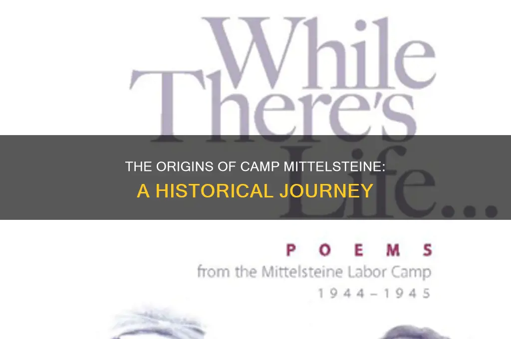 how did camp mittelsteine start