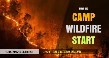 Unraveling the Origins: How Did Camp Wildfire Start?