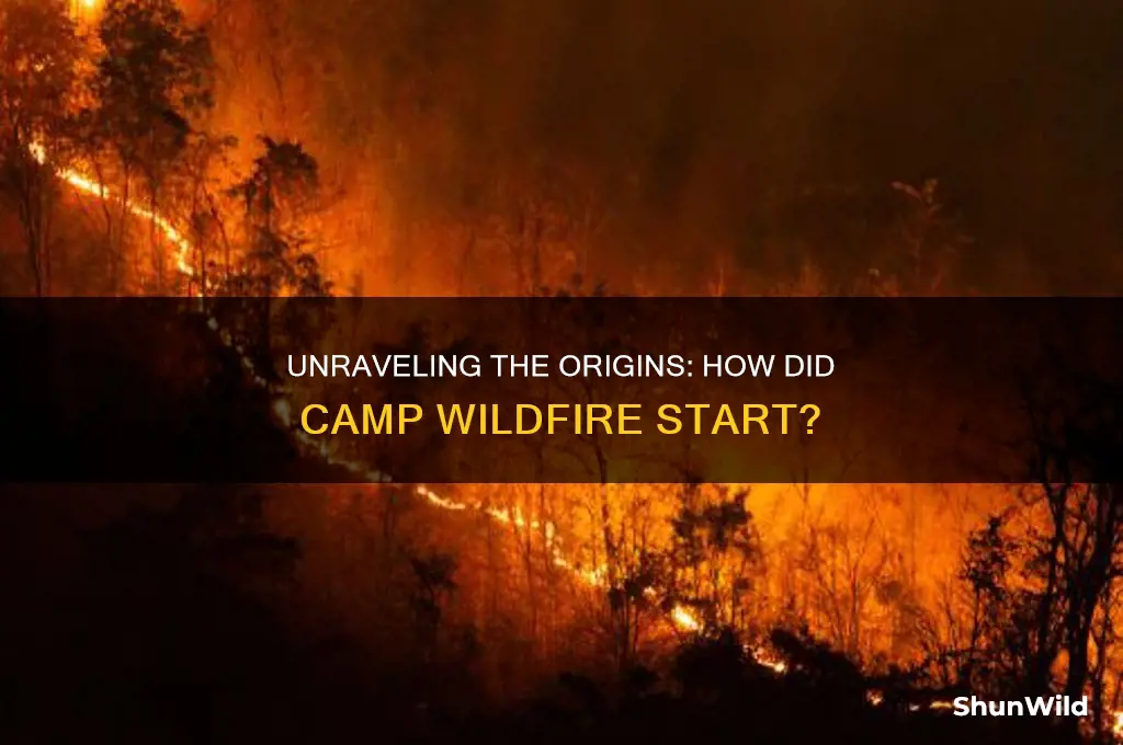 how did camp wildfire start