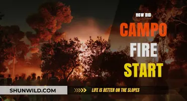 Unraveling the Devastating Origins of the Campo Fire: A Detailed Analysis