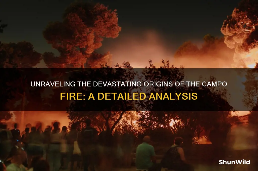 how did campo fire start