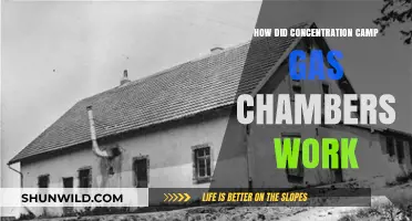 Unveiling the Horrific Mechanism of Concentration Camp Gas Chambers