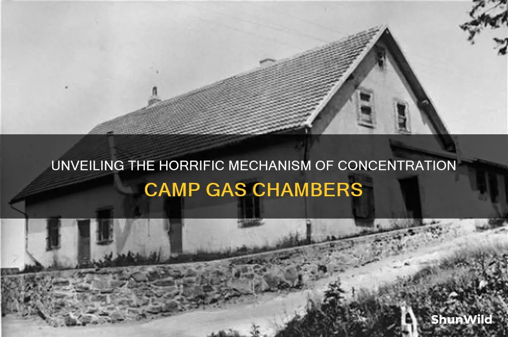 how did concentration camp gas chambers work