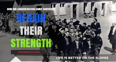 Rebuilding Lives: How Concentration Camp Survivors Recovered Strength and Hope