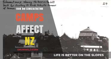 Concentration Camps' Impact on New Zealand: A Historical Overview