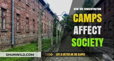 Concentration Camps' Lasting Impact: Shaping Society, Trauma, and Collective Memory