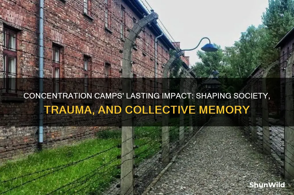 how did concentration camps affect society