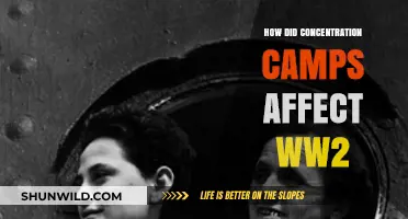 Concentration Camps' Impact on WWII: Devastation, Resistance, and Legacy