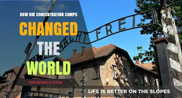 Concentration Camps: Global Impact and Lasting Legacy of Inhumanity