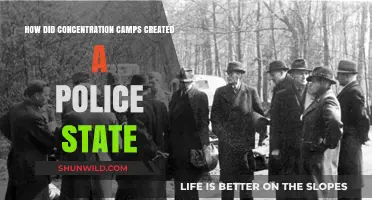 Concentration Camps: The Rise of a Police State
