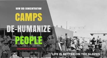 Dehumanization in Concentration Camps: Erasing Identity, Dignity, and Humanity