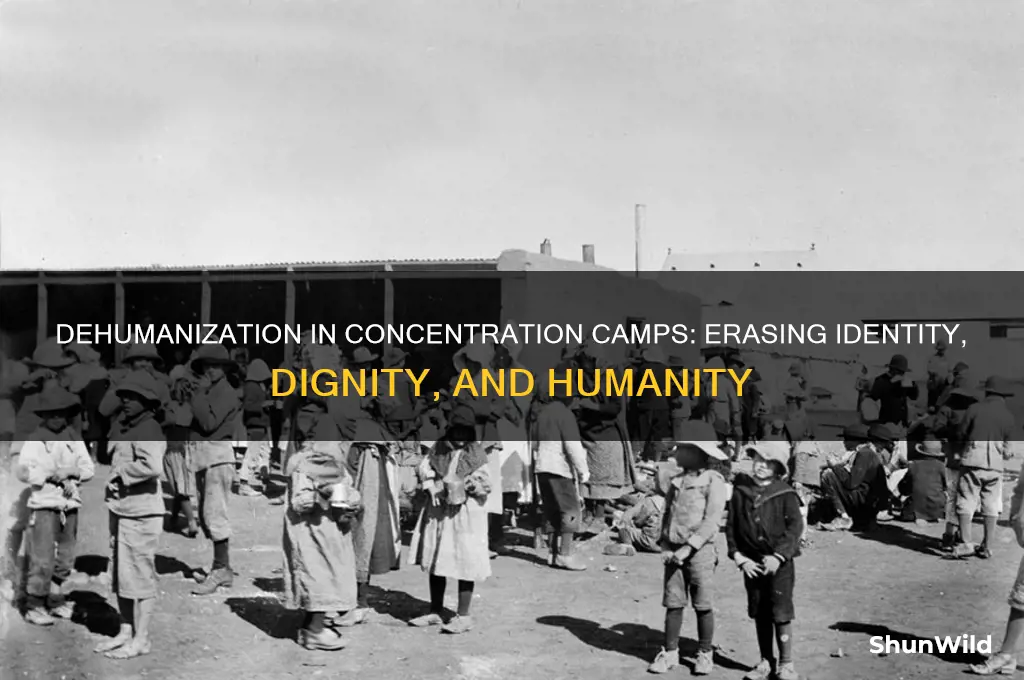 how did concentration camps de-humanize people
