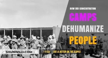 Dehumanization in Concentration Camps: Stripping Humanity Through Systematic Cruelty