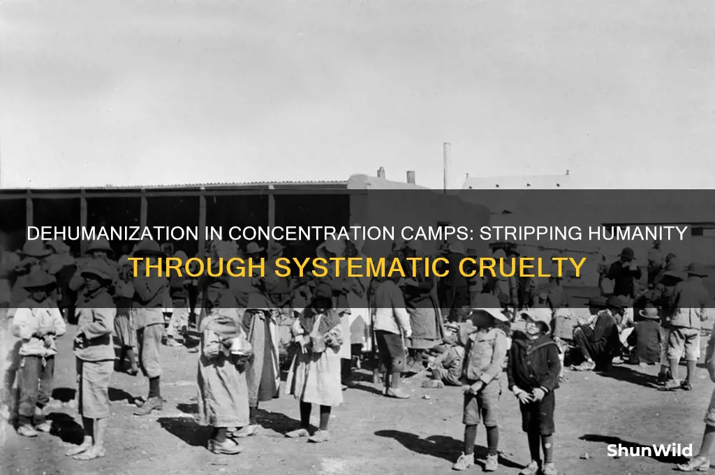 how did concentration camps dehumanize people