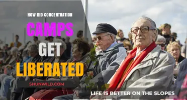 Liberation of Concentration Camps: The Allied Forces' Historic Rescue Mission