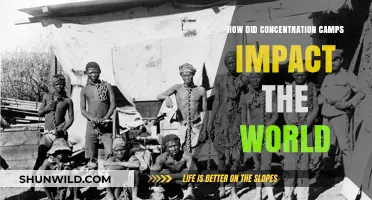 Concentration Camps' Global Legacy: Trauma, Resilience, and Historical Lessons
