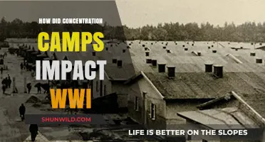 Concentration Camps in WWI: Devastating Impacts on Soldiers and Civilians