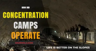 Inside the Machinery of Death: Concentration Camp Operations Explained