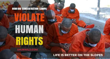 Concentration Camps: A Devastating Violation of Human Rights and Dignity