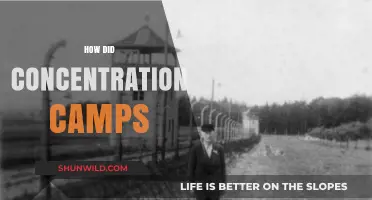 Unveiling the Dark History of Concentration Camps: Origins and Impact