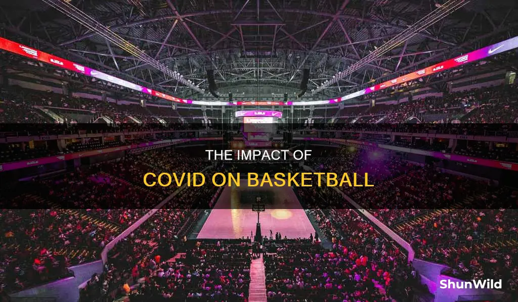 how did covid affect basketball