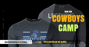 Cowboys' Camp Life: Gear, Techniques, and Survival Strategies on the Range