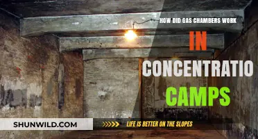 Understanding the Mechanisms of Gas Chambers in Concentration Camps