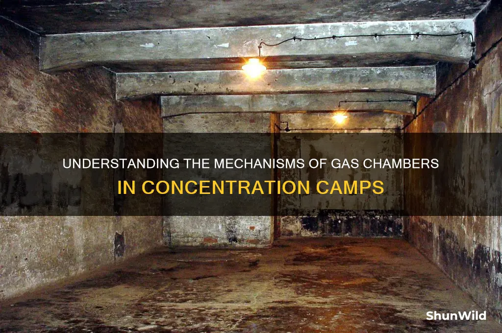 how did gas chambers work in concentration camps
