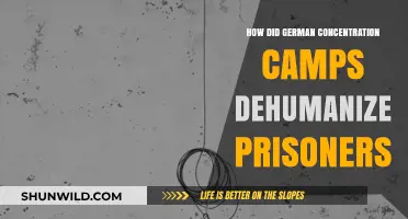 Dehumanization in German Camps: Methods and Impact on Prisoners