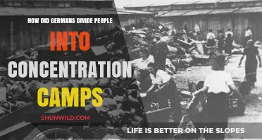 Nazi Classification System: Dividing Humanity in Concentration Camps