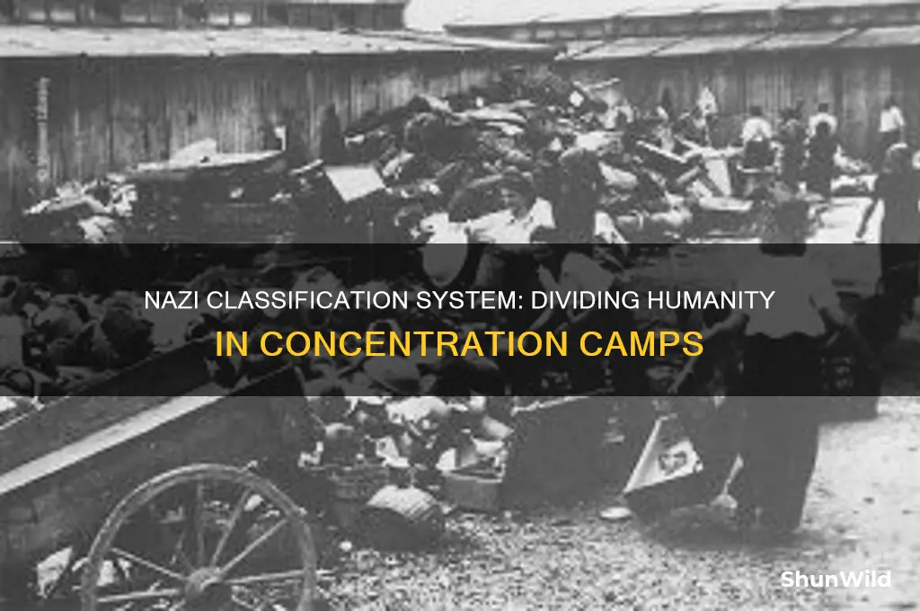 how did germans divide people into concentration camps
