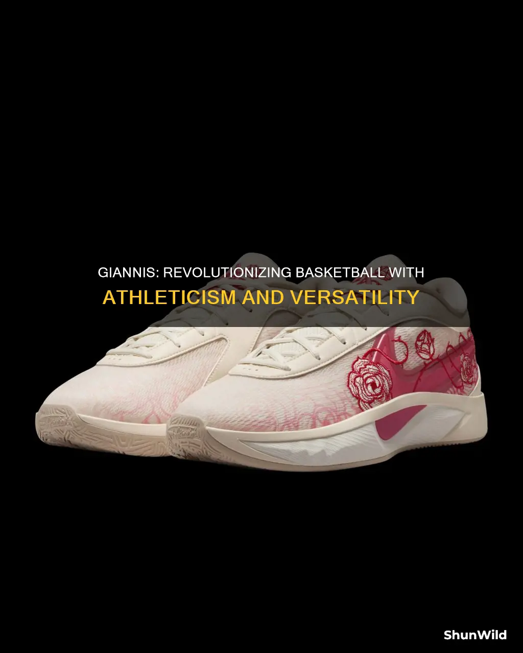 how did giannas atetakoumpo change basketball