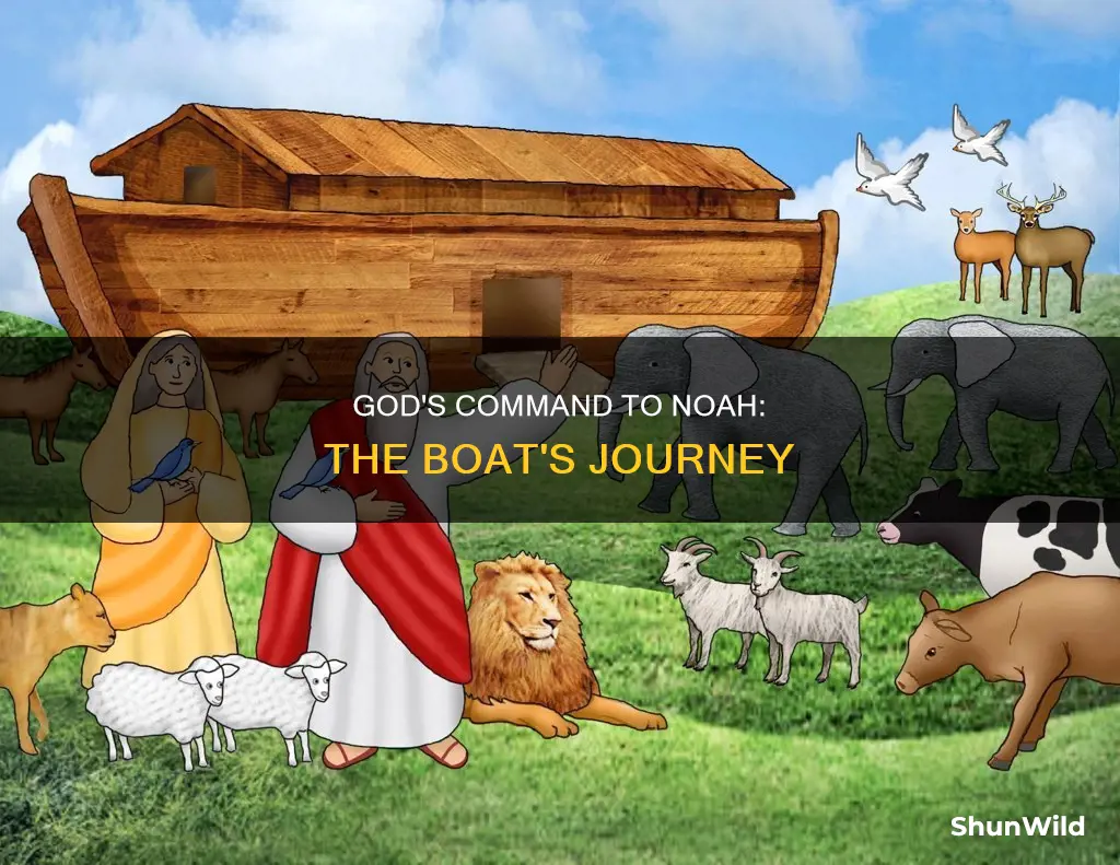 how did god tell noah to go the boat