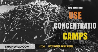Hitler's Concentration Camps: Tools of Terror and Genocide Explained