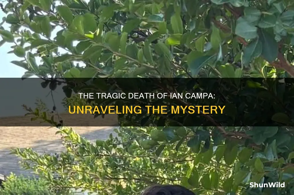 how did ian campa die