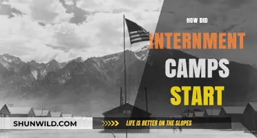 The Origins of Internment Camps: A Historical Overview