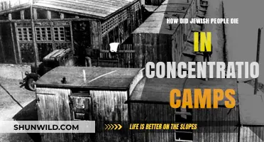 The Holocaust's Brutal Methods: How Jewish Lives Were Extinguished in Camps