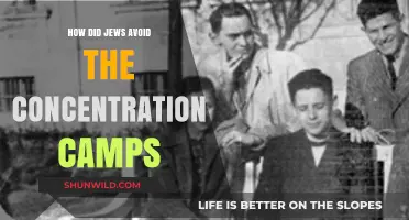 Strategies and Survival: How Jews Evaded Concentration Camps During the Holocaust