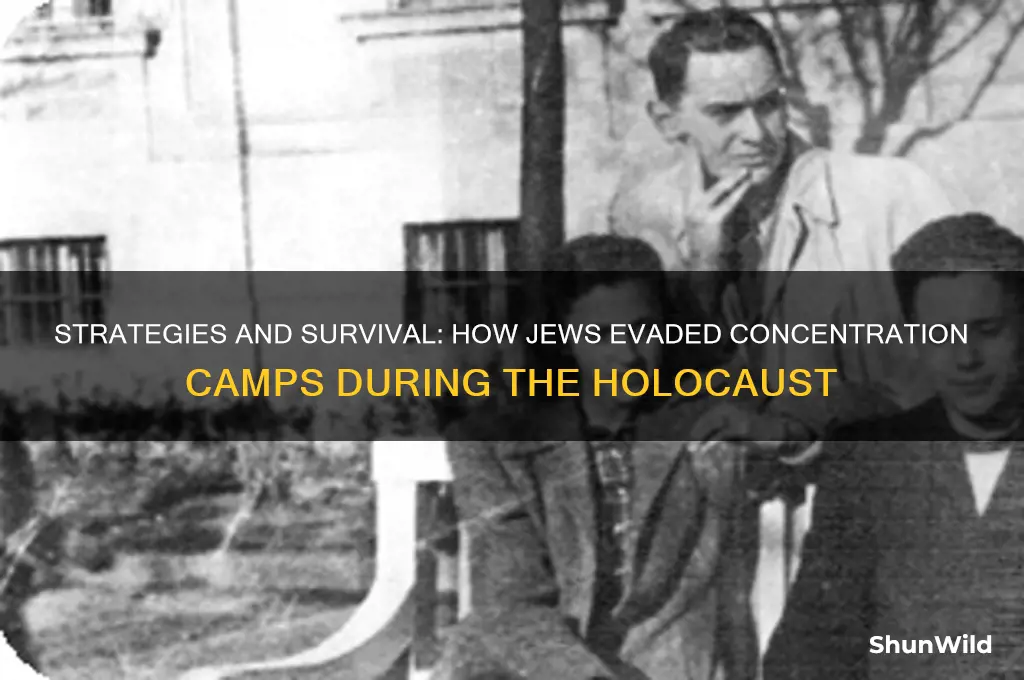how did jews avoid the concentration camps
