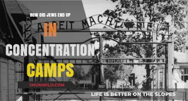 From Persecution to Camps: The Jewish Journey During the Holocaust