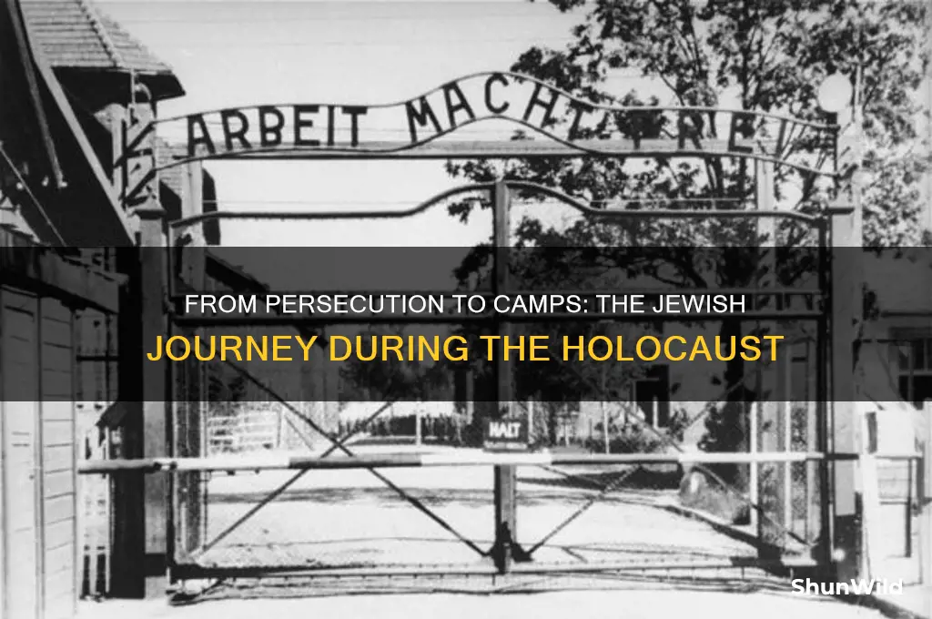 how did jews end up in concentration camps