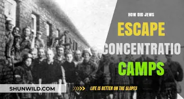 Escaping the Holocaust: Jewish Survival Strategies in Concentration Camps