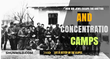 Escape from Hell: Jewish Resistance and Survival Strategies in Ghettos and Camps