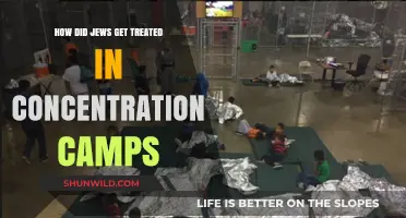 The Brutal Reality: Jewish Life in Concentration Camps