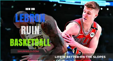 The Downfall of Basketball: LeBron's Legacy